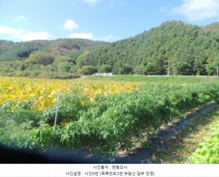 2025타경1883 강원특별자치도 화천군 화천읍 풍산리 466-2 농지 경매 이미지
