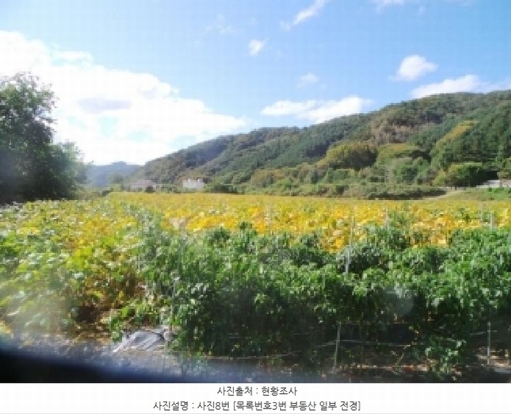 2025타경1883 강원특별자치도 화천군 화천읍 풍산리 466-2 농지 경매 이미지