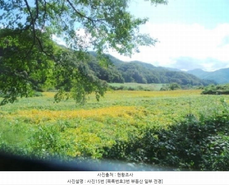 2025타경1883 강원특별자치도 화천군 화천읍 풍산리 466-2 농지 경매 이미지