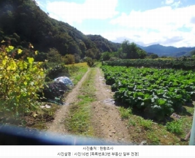 2025타경1883 강원특별자치도 화천군 화천읍 풍산리 466-2 농지 경매 이미지