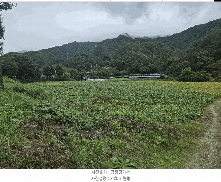 2025타경1883 강원특별자치도 화천군 화천읍 풍산리 466-2 농지 경매 이미지