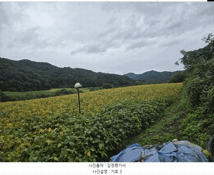 2025타경1883 강원특별자치도 화천군 화천읍 풍산리 466-2 농지 경매 이미지