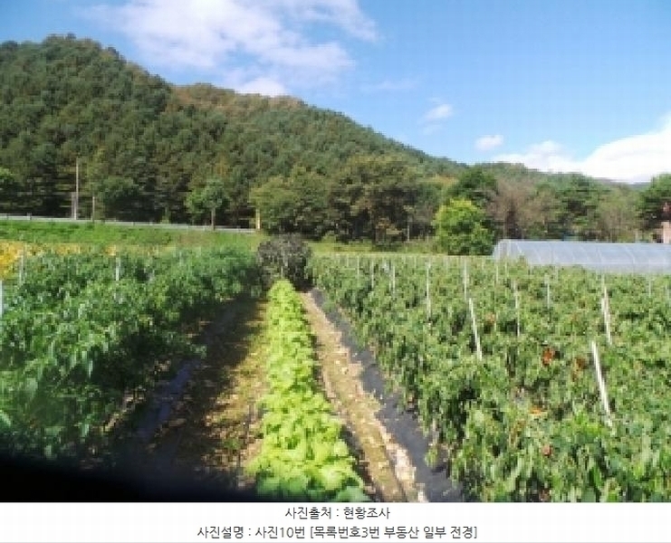 2025타경1883 강원특별자치도 화천군 화천읍 풍산리 466-2 농지 경매 이미지