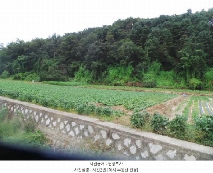 2025타경1913 강원특별자치도 춘천시 서면 신매리 865-1 농지 경매 이미지