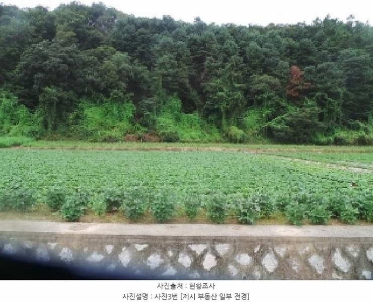 2025타경1913 강원특별자치도 춘천시 서면 신매리 865-1 농지 경매 이미지