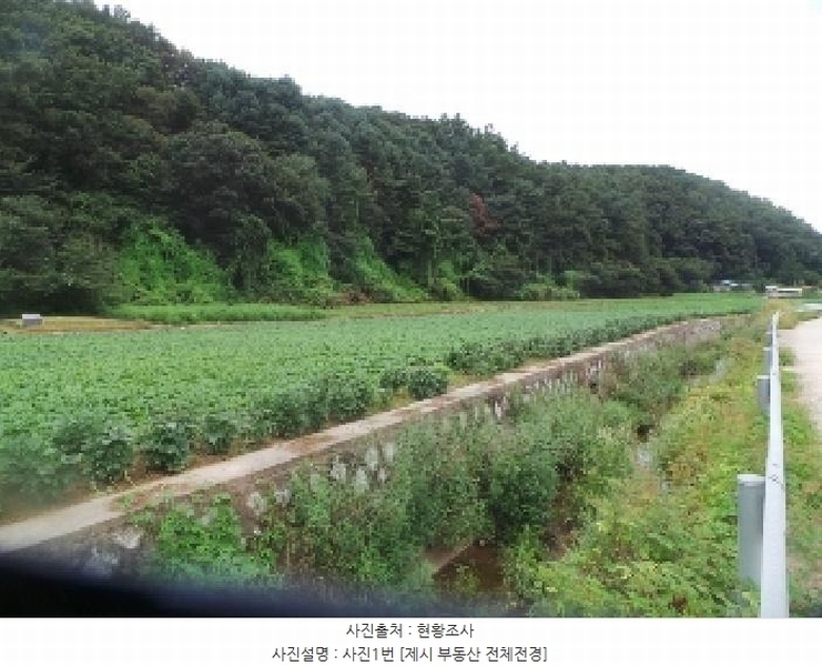 2025타경1913 강원특별자치도 춘천시 서면 신매리 865-1 농지 경매 이미지