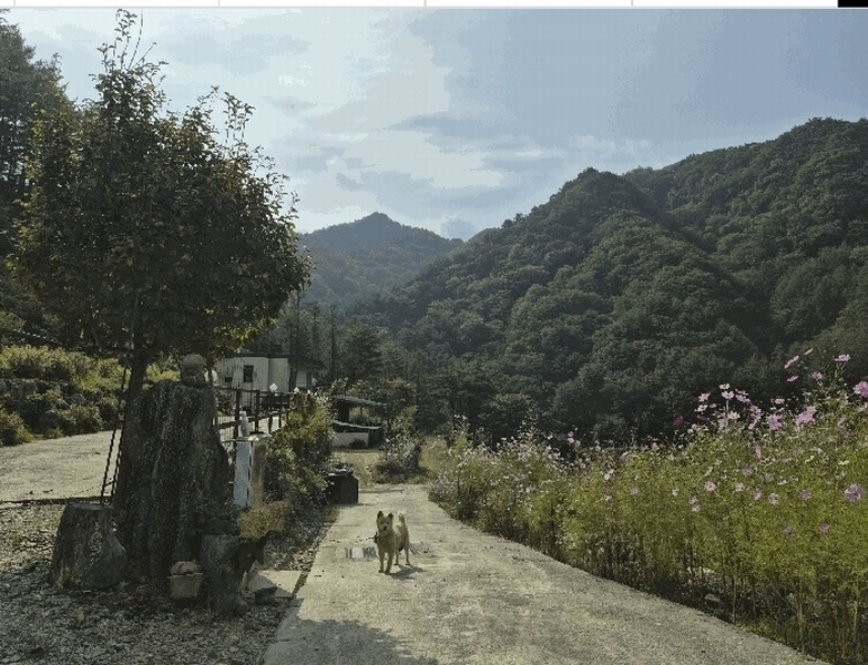 2025타경2305 강원특별자치도 인제군 상남면 미산리 555-20 주택 경매 이미지