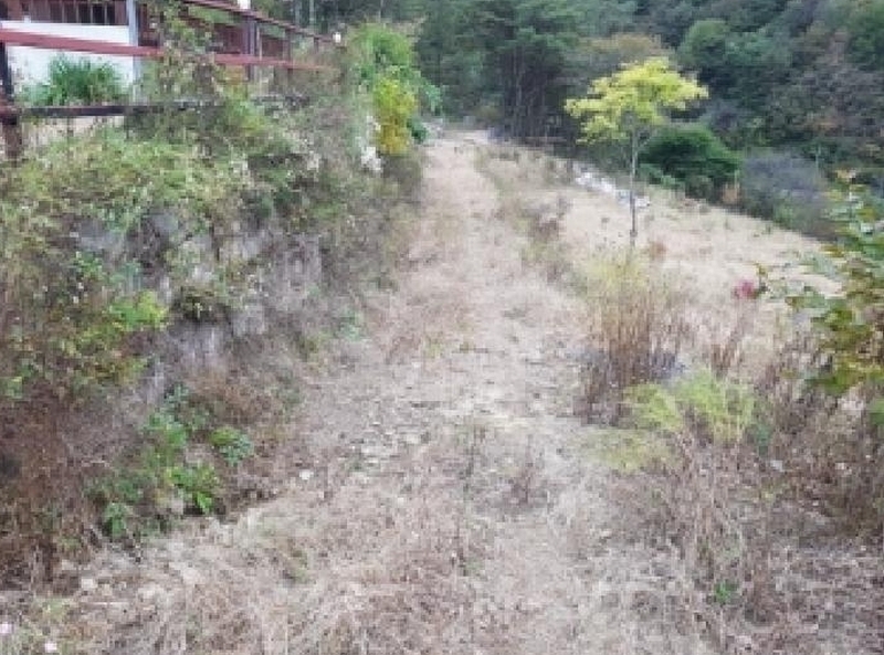 2025타경2305 강원특별자치도 인제군 상남면 미산리 555-20 주택 경매 이미지