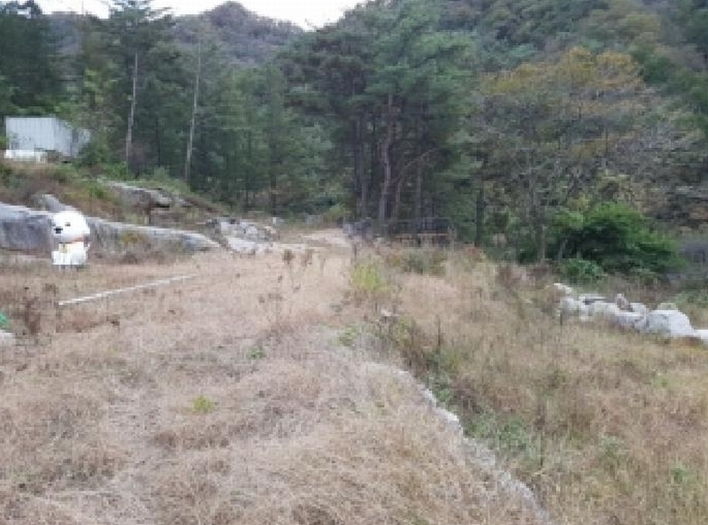 2025타경2305 강원특별자치도 인제군 상남면 미산리 555-20 주택 경매 이미지