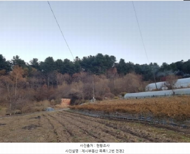 2025타경2510 강원특별자치도 홍천군 화촌면 풍천리 산67 임야 경매 이미지
