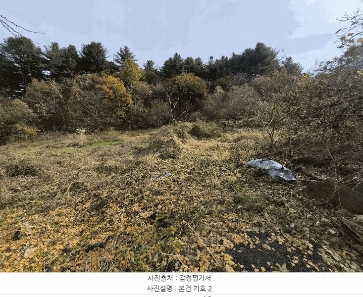2025타경2510 강원특별자치도 홍천군 화촌면 풍천리 산67 임야 경매 이미지