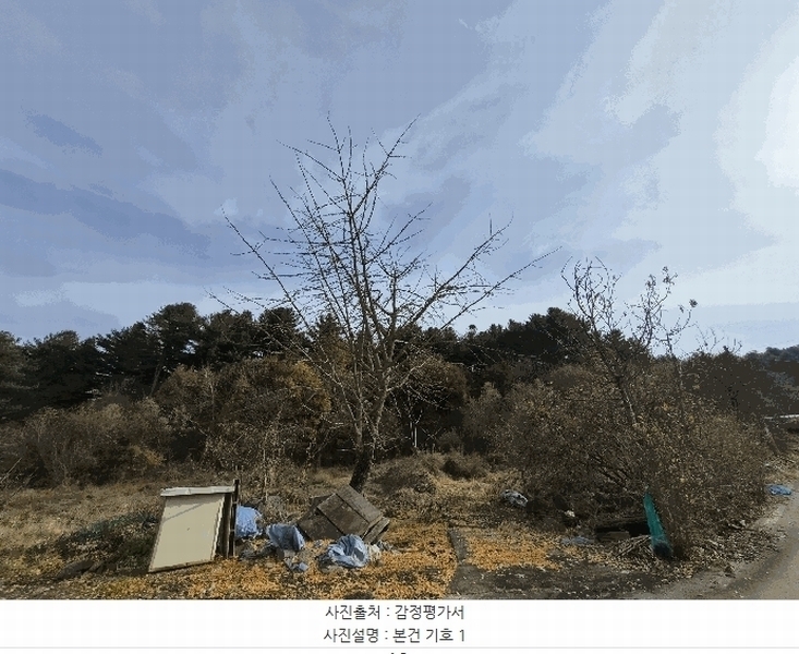 2025타경2510 강원특별자치도 홍천군 화촌면 풍천리 산67 임야 경매 이미지