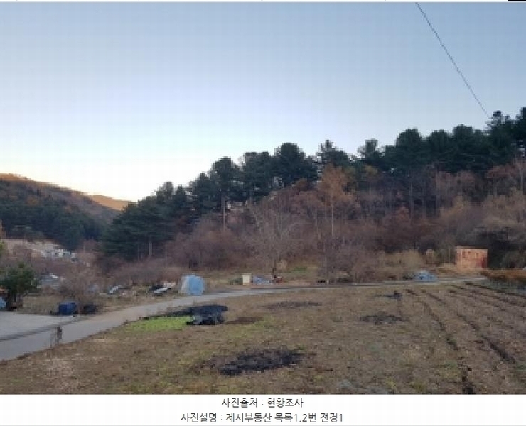 2025타경2510 강원특별자치도 홍천군 화촌면 풍천리 산67 임야 경매 이미지