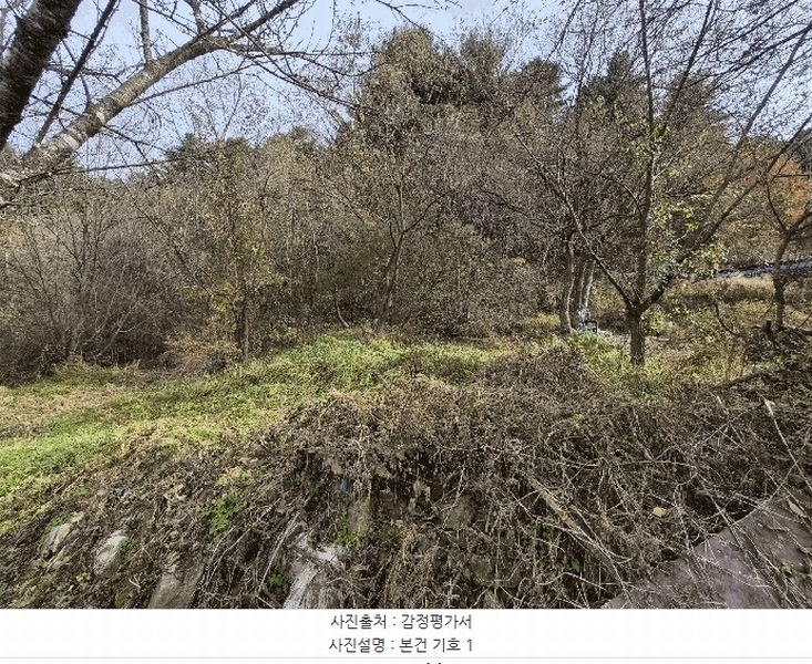 2025타경2510 강원특별자치도 홍천군 화촌면 풍천리 산67 임야 경매 이미지
