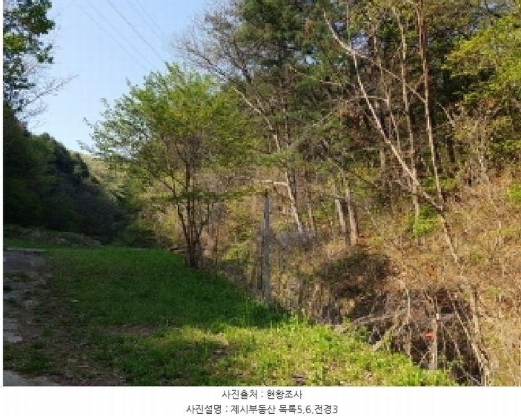 2025타경50498 강원특별자치도 춘천시 신동면 증리 98-2 근린주택 경매 이미지