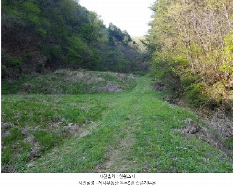 2025타경50498 강원특별자치도 춘천시 신동면 증리 98-2 근린주택 경매 이미지