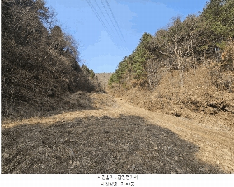 2025타경50498 강원특별자치도 춘천시 신동면 증리 98-2 근린주택 경매 이미지