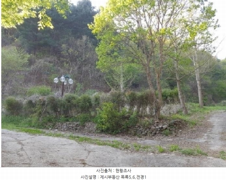 2025타경50498 강원특별자치도 춘천시 신동면 증리 98-2 근린주택 경매 이미지