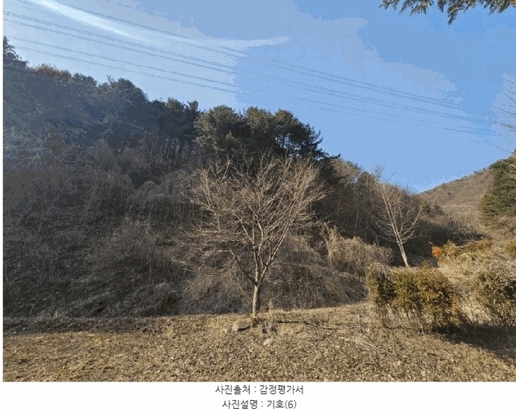 2025타경50498 강원특별자치도 춘천시 신동면 증리 98-2 근린주택 경매 이미지