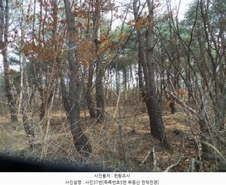 2025타경50588 강원특별자치도 양구군 국토정중앙면 심포리 106-3 농지 경매 이미지