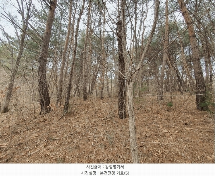 2025타경50588 강원특별자치도 양구군 국토정중앙면 심포리 106-3 농지 경매 이미지