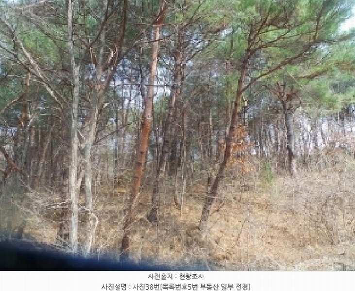 2025타경50588 강원특별자치도 양구군 국토정중앙면 심포리 106-3 농지 경매 이미지