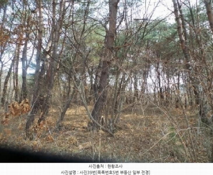 2025타경50588 강원특별자치도 양구군 국토정중앙면 심포리 106-3 농지 경매 이미지