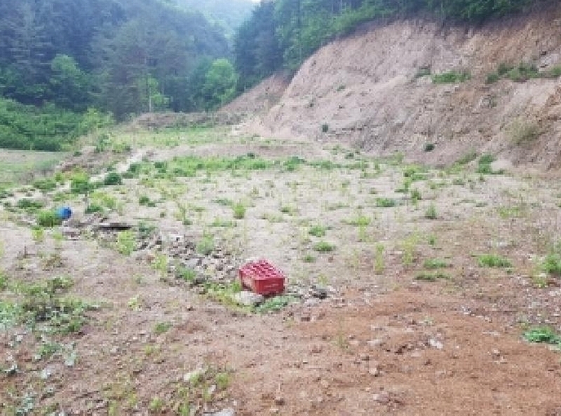 2025타경50623 강원특별자치도 인제군 인제읍 가리산리 166 농지 경매 이미지