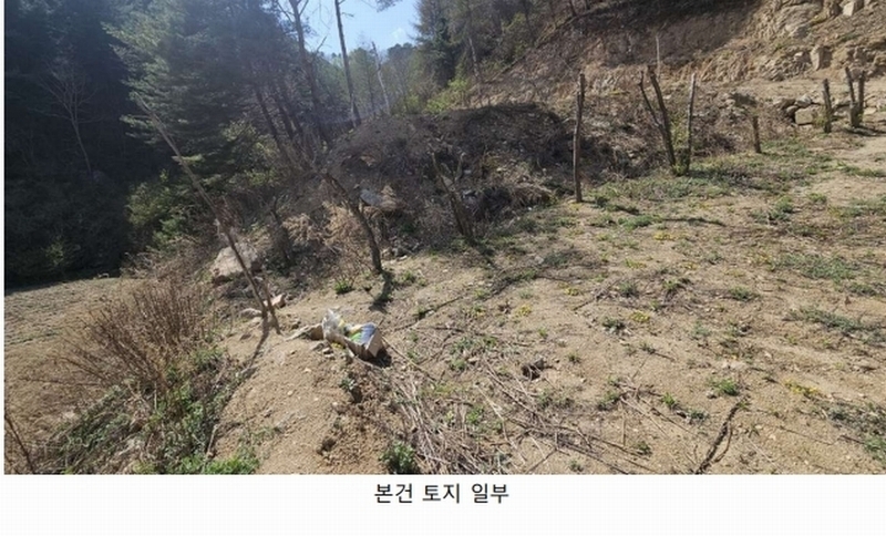 2025타경50623 강원특별자치도 인제군 인제읍 가리산리 166 농지 경매 이미지