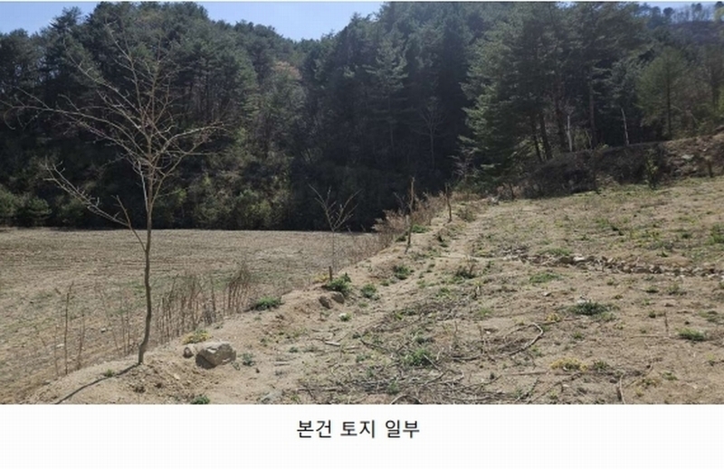 2025타경50623 강원특별자치도 인제군 인제읍 가리산리 166 농지 경매 이미지