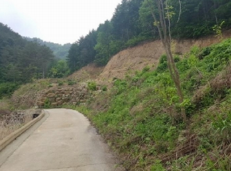 2025타경50623 강원특별자치도 인제군 인제읍 가리산리 166 농지 경매 이미지