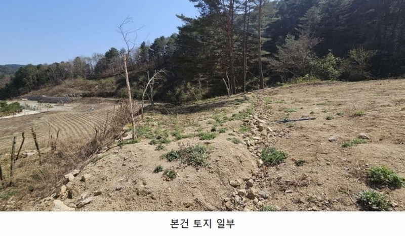 2025타경50623 강원특별자치도 인제군 인제읍 가리산리 166 농지 경매 이미지