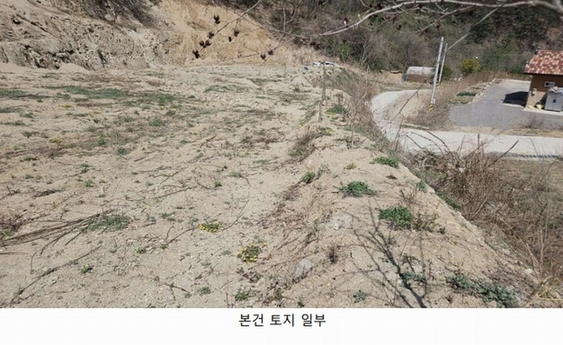 2025타경50623 강원특별자치도 인제군 인제읍 가리산리 166 농지 경매 이미지