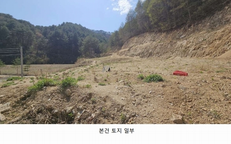 2025타경50623 강원특별자치도 인제군 인제읍 가리산리 166 농지 경매 이미지