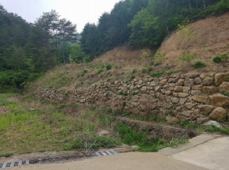 2025타경50623 강원특별자치도 인제군 인제읍 가리산리 166 농지 경매 이미지