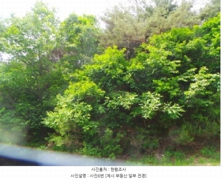 2025타경50666 강원특별자치도 화천군 사내면 사창리 산119 임야 경매 이미지