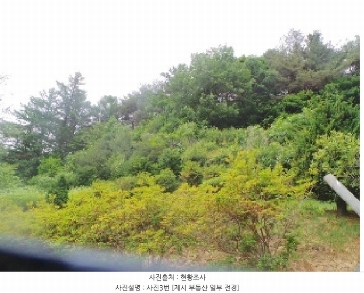 2025타경50666 강원특별자치도 화천군 사내면 사창리 산119 임야 경매 이미지