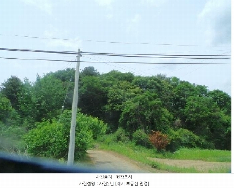 2025타경50666 강원특별자치도 화천군 사내면 사창리 산119 임야 경매 이미지