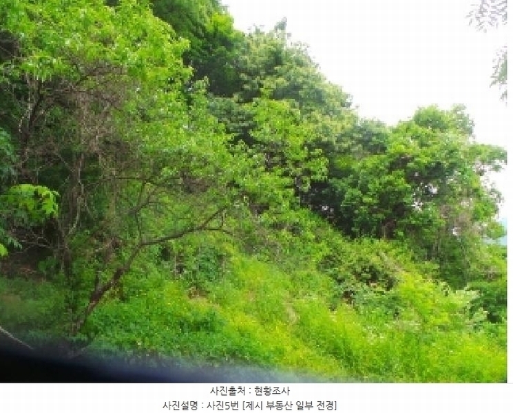 2025타경50666 강원특별자치도 화천군 사내면 사창리 산119 임야 경매 이미지