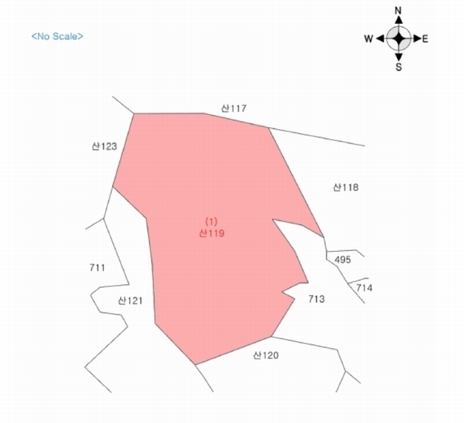 2025타경50666 강원특별자치도 화천군 사내면 사창리 산119 임야 경매 이미지