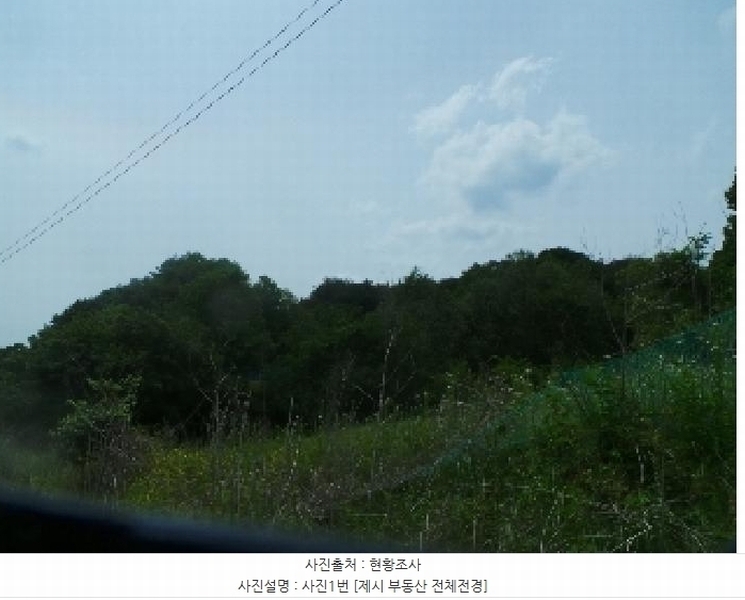 2025타경50666 강원특별자치도 화천군 사내면 사창리 산119 임야 경매 이미지