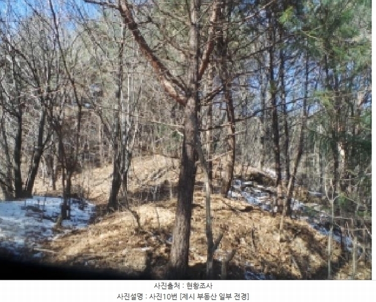 2025타경50666 강원특별자치도 화천군 사내면 사창리 산119 임야 경매 이미지