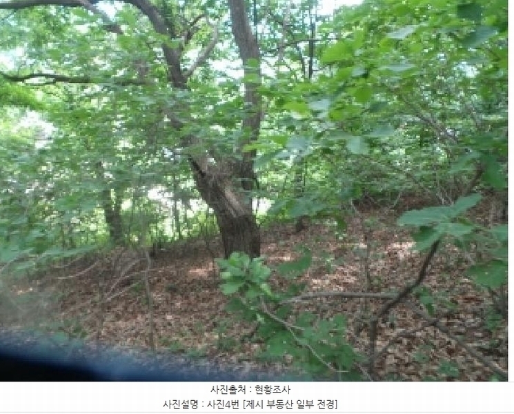 2025타경50666 강원특별자치도 화천군 사내면 사창리 산119 임야 경매 이미지