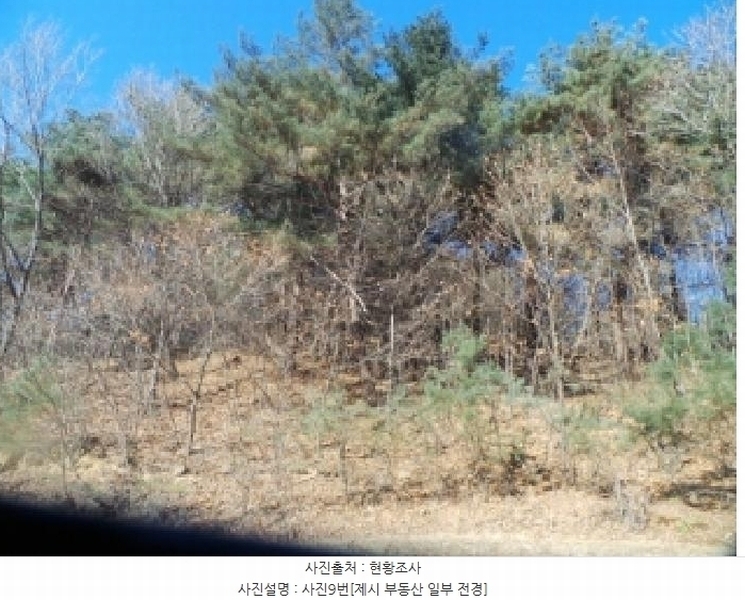 2025타경50666 강원특별자치도 화천군 사내면 사창리 산119 임야 경매 이미지