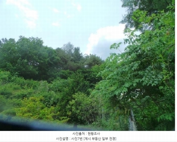 2025타경50666 강원특별자치도 화천군 사내면 사창리 산119 임야 경매 이미지