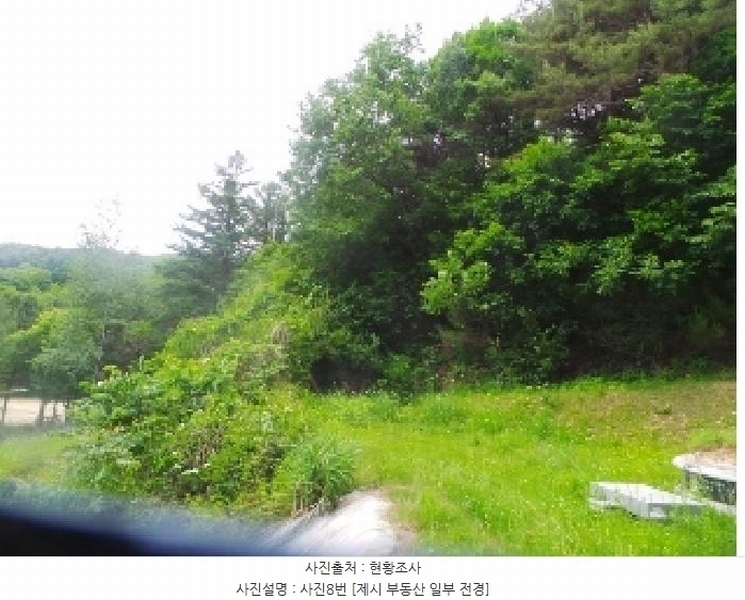 2025타경50666 강원특별자치도 화천군 사내면 사창리 산119 임야 경매 이미지