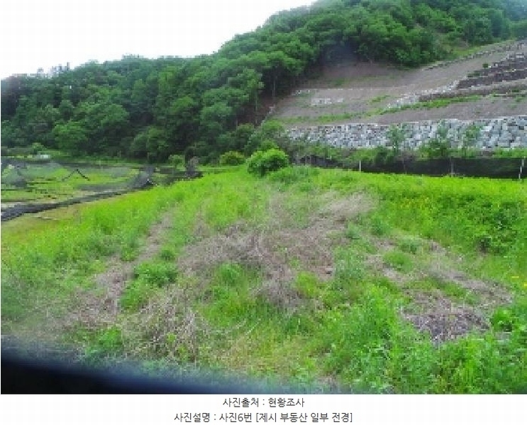 2025타경50698 강원특별자치도 춘천시 서면 안보리 243-1 농지 경매 이미지
