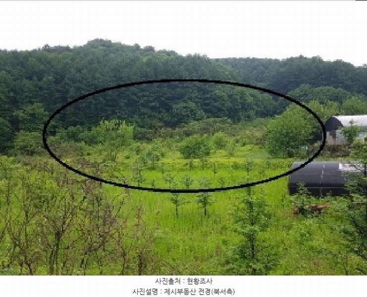 2025타경50702 강원특별자치도 홍천군 서면 모곡리 1138-3 농지 경매 이미지