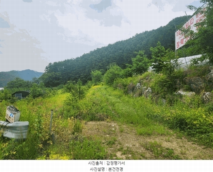 2025타경50702 강원특별자치도 홍천군 서면 모곡리 1138-3 농지 경매 이미지