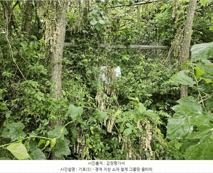 2025타경50730 강원특별자치도 인제군 서화면 서흥리 897-6 농지 경매 이미지